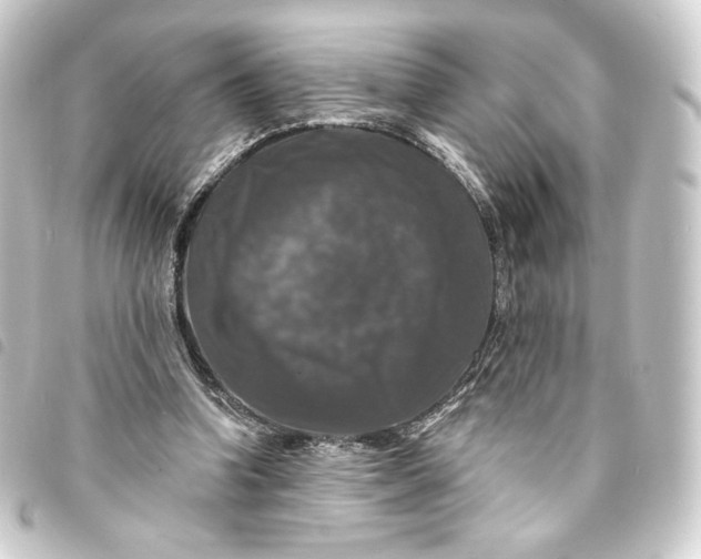 X0000093740346200710301109