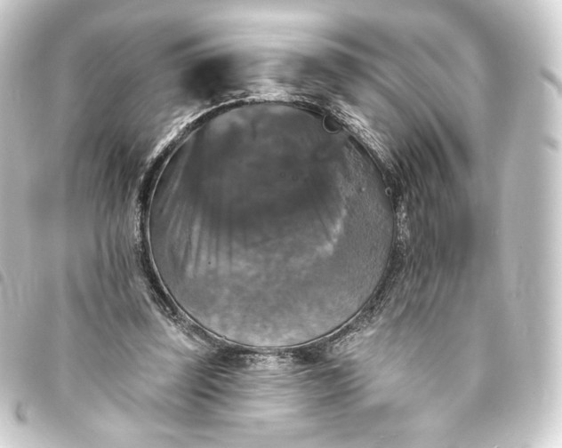 X0000093740347200710301109