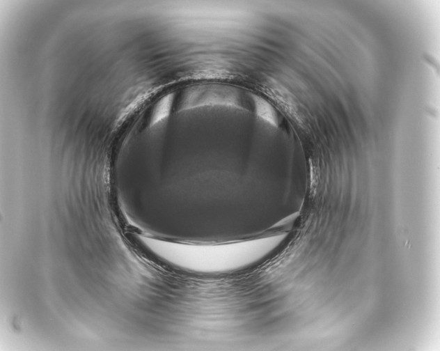 X0000093740348200710301109