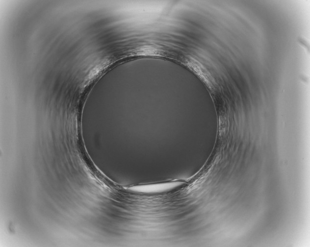 X0000093740349200710301109