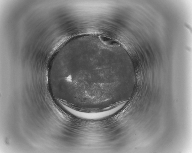 X0000093740350200710301109