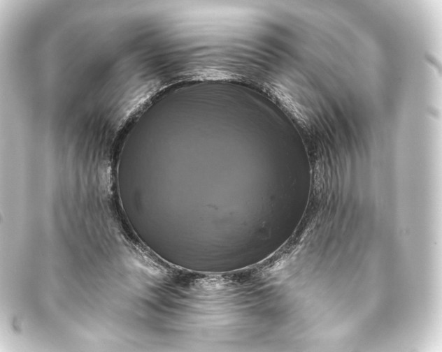 X0000093740351200710301109