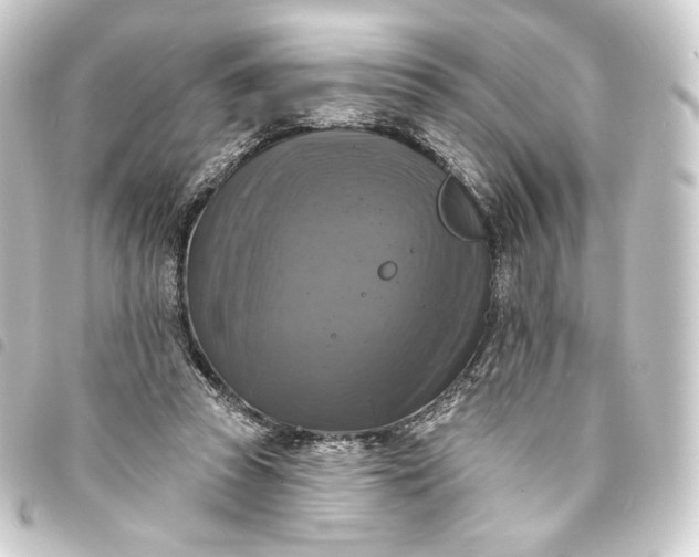 X0000093740353200710301109