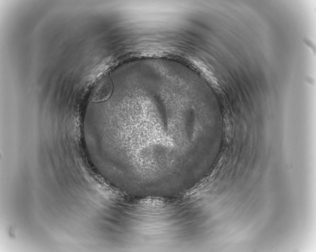 X0000093740354200710301109