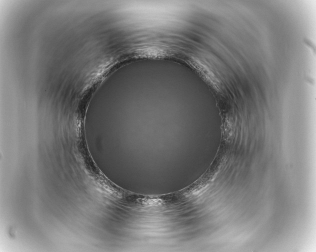 X0000093740355200710301109