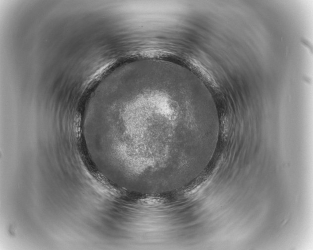 X0000093740356200710301109