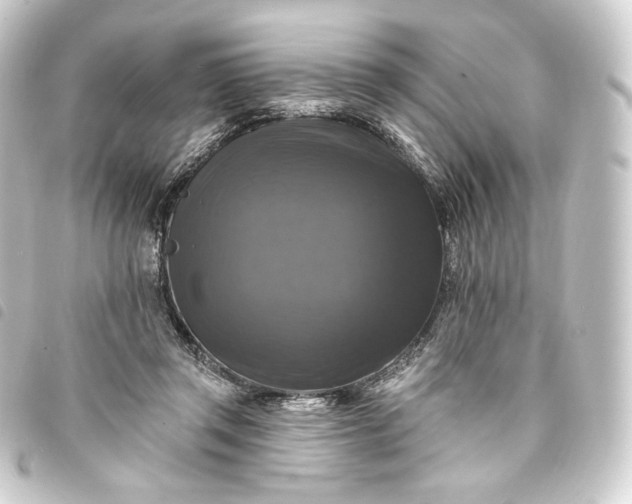 X0000093740357200710301109