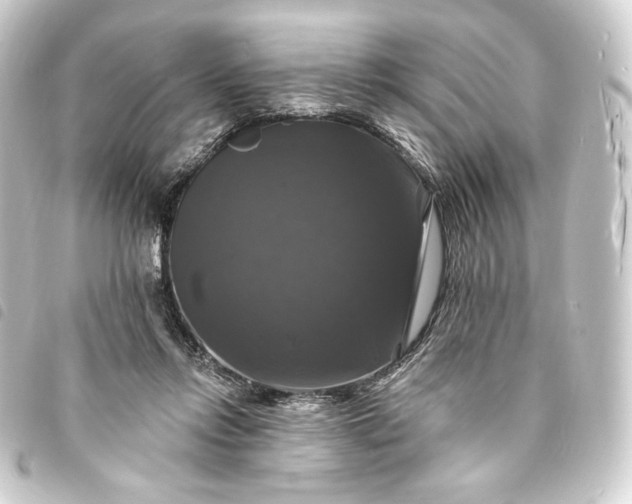 X0000093740358200710301109