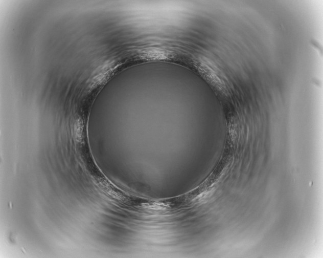 X0000093740359200710301109