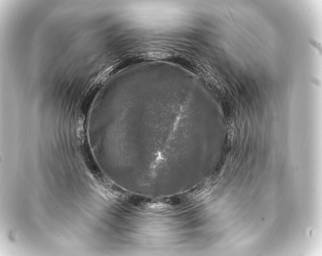 X0000093740360200710301109