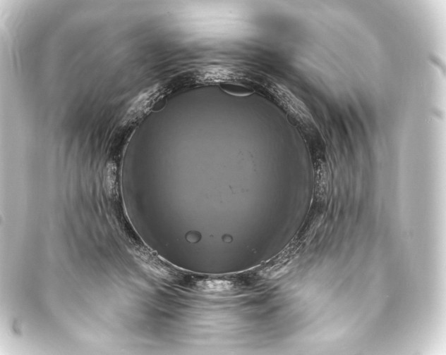 X0000093740361200710301109