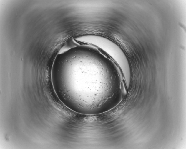 X0000093740362200710301109