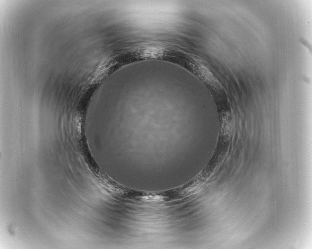 X0000093740363200710301109