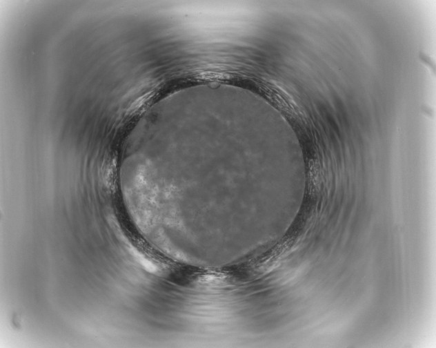 X0000093740364200710301109