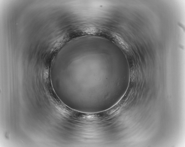 X0000093740365200710301109