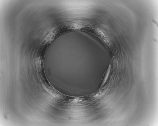 X0000093740366200710301109