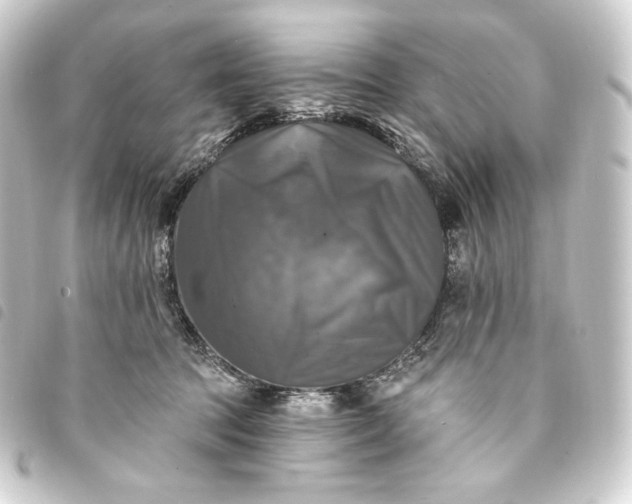 X0000093740369200710301110