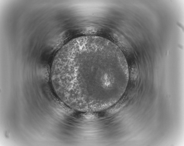 X0000093740370200710301110