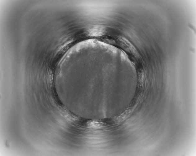 X0000093740372200710301110