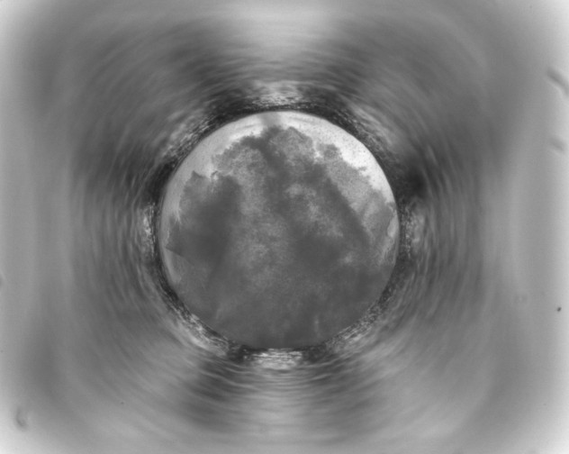 X0000093740373200710301110