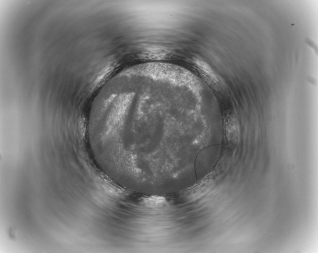 X0000093740374200710301110