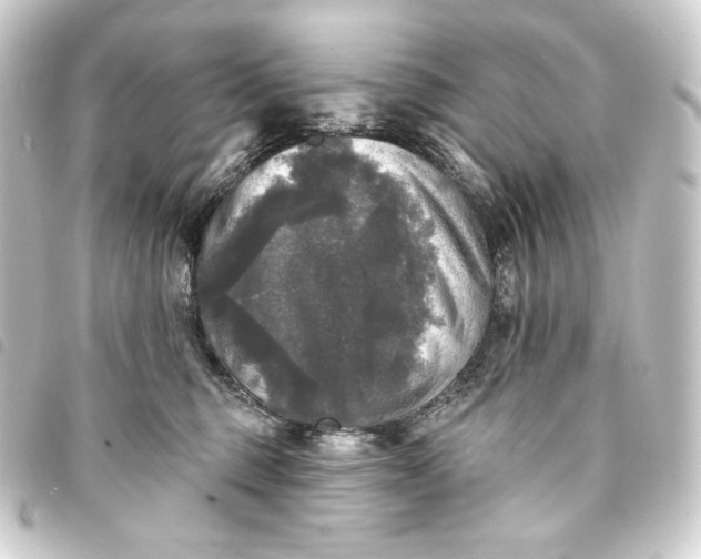 X0000093740375200710301110