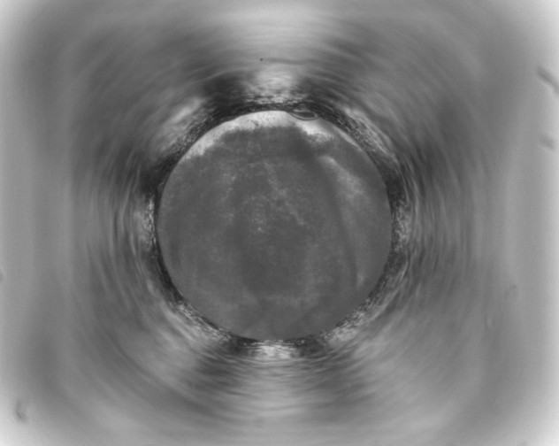 X0000093740376200710301110