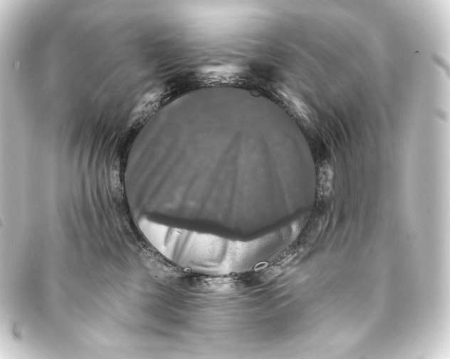 X0000093740377200710301110