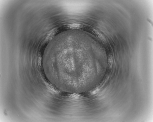 X0000093740379200710301110