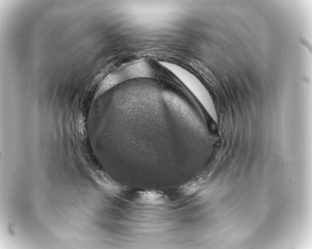 X0000093740380200710301110