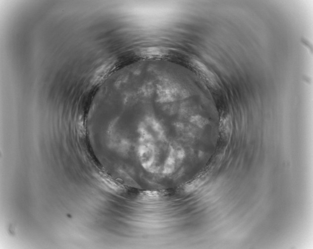 X0000093740381200710301110