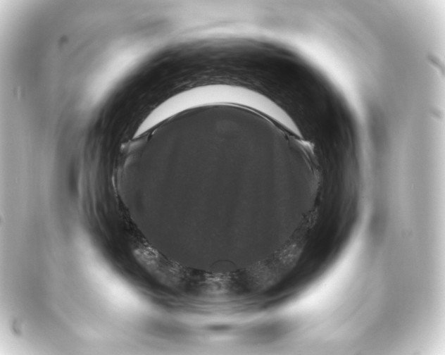 X0000093740382200710301110