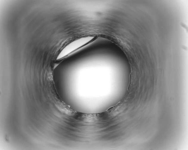 X0000093740384200710301110