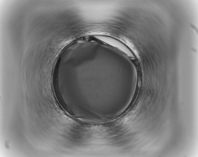 X0000093740385200710301109