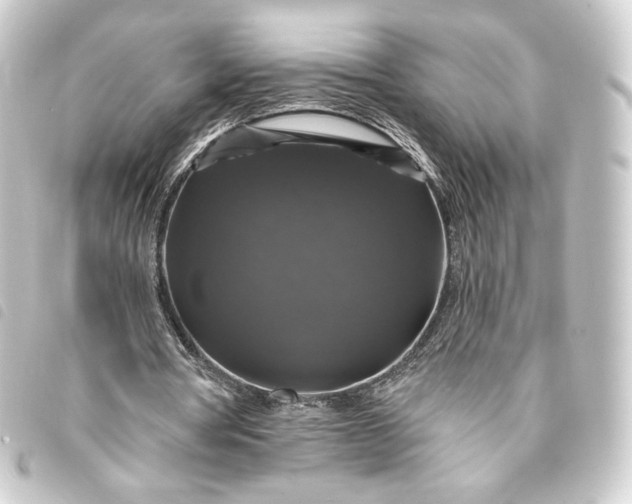 X0000093740386200710301109