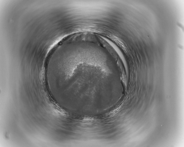 X0000093740388200710301109