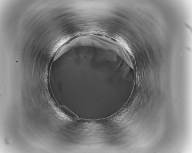 X0000093740389200710301109