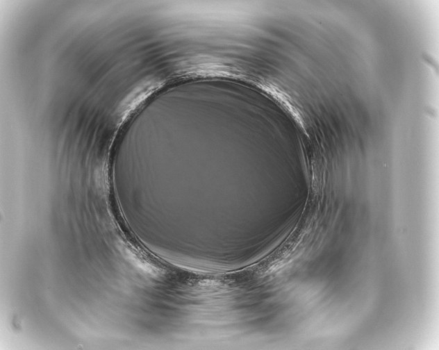 X0000093740390200710301109