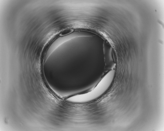 X0000093740391200710301109