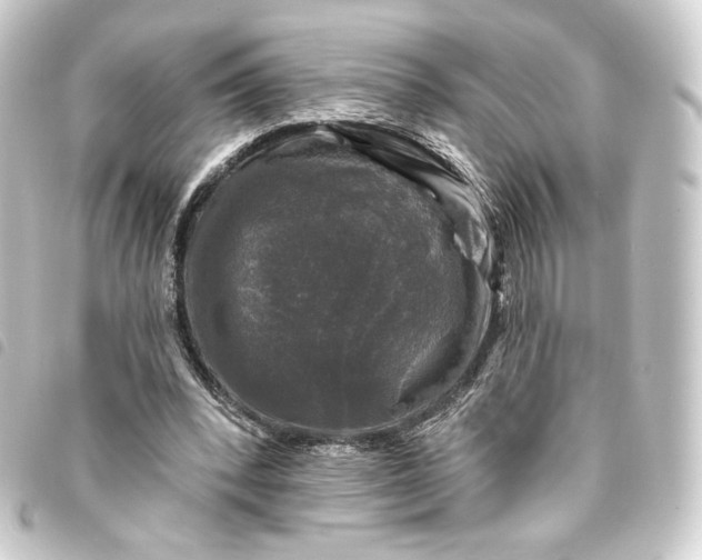 X0000093740392200710301109