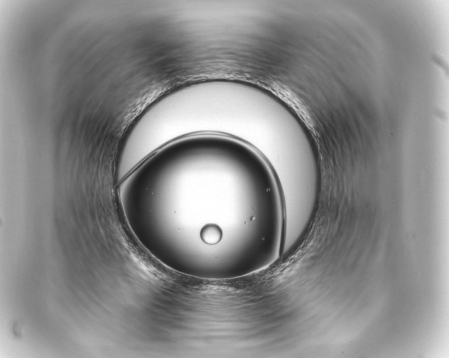 X0000093740393200710301109