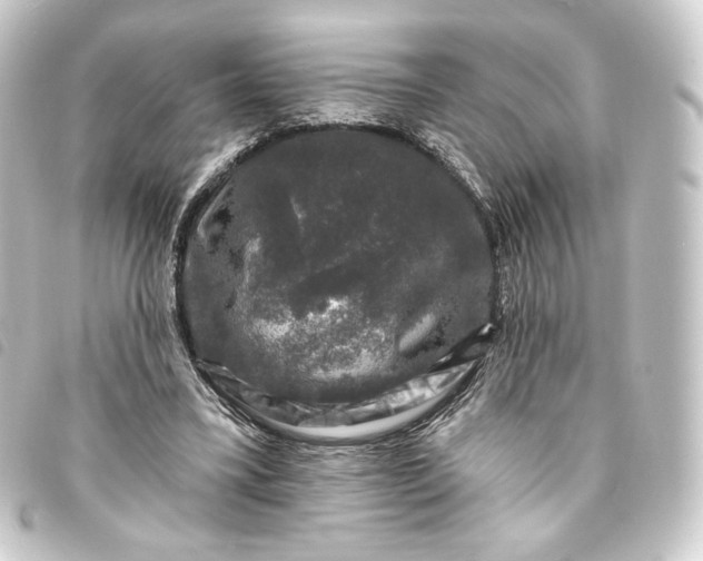 X0000093740395200710301109