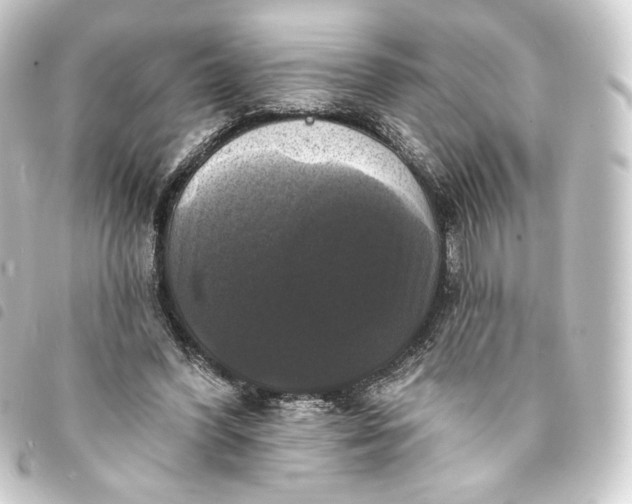 X0000093740396200710301109