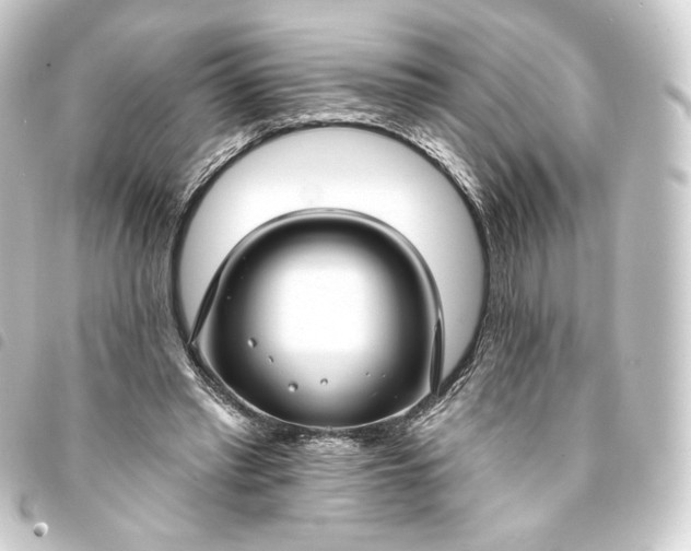 X0000093740397200710301109