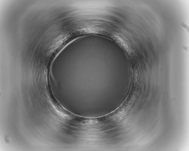 X0000093740398200710301109