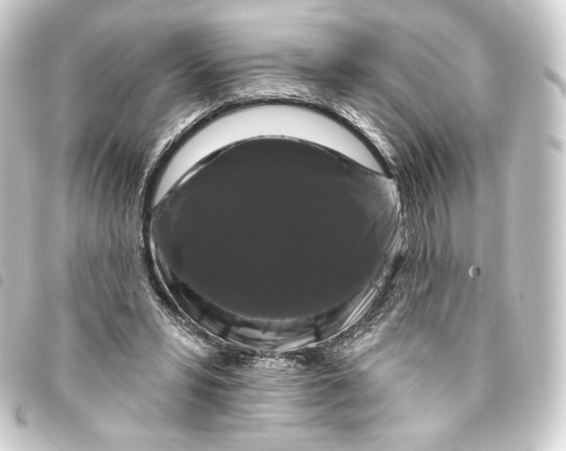 X0000093740399200710301109