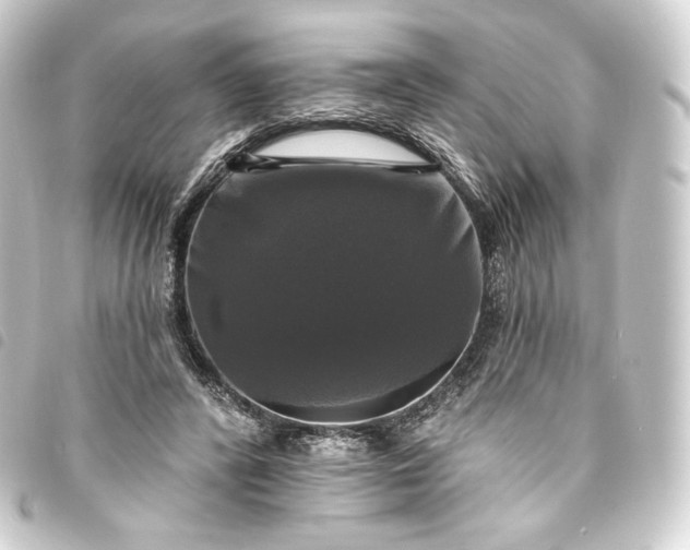 X0000093740400200710301109