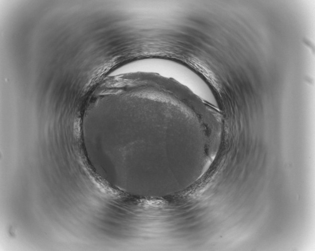 X0000093740401200710301109