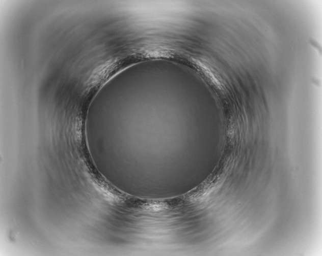 X0000093740402200710301109