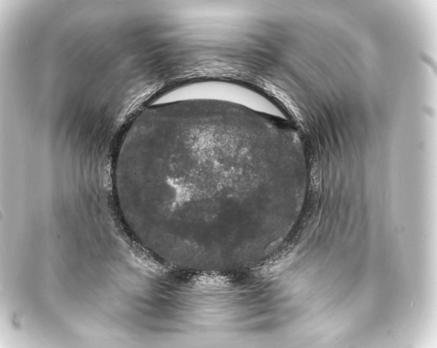 X0000093740403200710301109